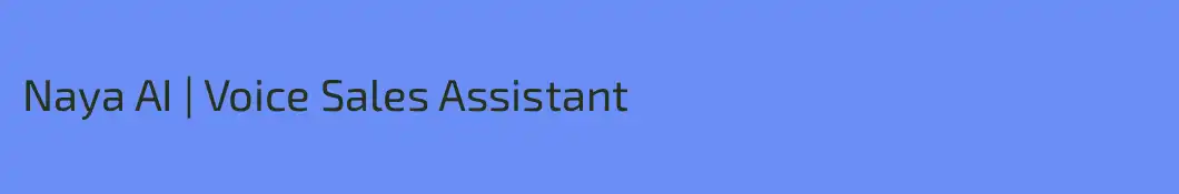 Naya AI | Voice Sales Assistant
